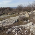Neplu7wv b