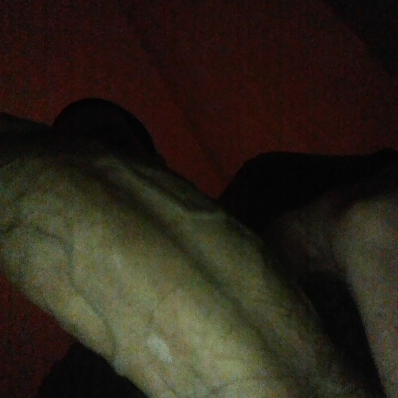 desnudo