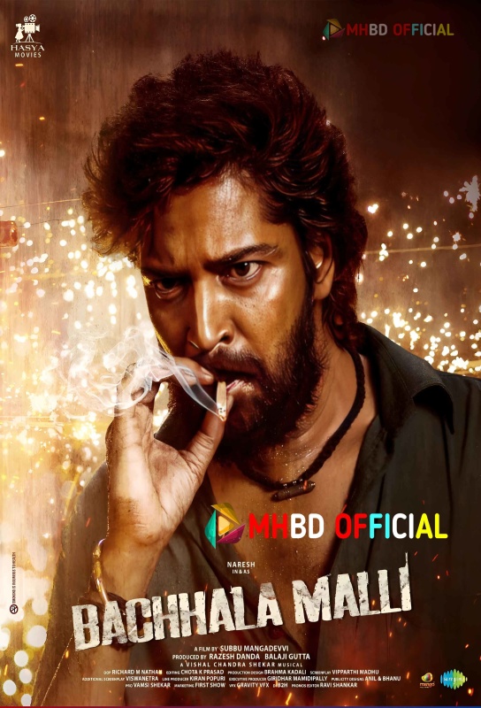 Bachhala Malli (2024)  Dual-Audio Hindi ORG 