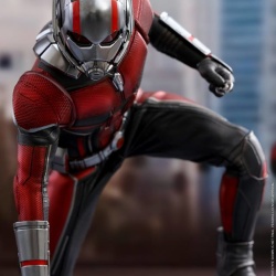 Ant-Man (Ant-Man & The Wasp) 1/6 (Hot Toys) SOEz3qRf_t