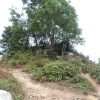 Hiking Tin Shui Wai 2023 July - 頁 3 BeqoFXxD_t