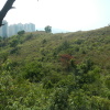 Hiking Tin Shui Wai - 頁 28 MNWsr8d4_t