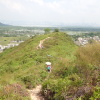 Hiking Tin Shui Wai 2023 July - 頁 2 SBc5lLfN_t