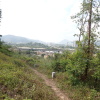 Hiking Tin Shui Wai 2023 July - 頁 2 Egf9ZfPF_t
