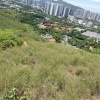 天水圍 Hiking 2021 July 3 - 頁 2 HqQTG5f5_t