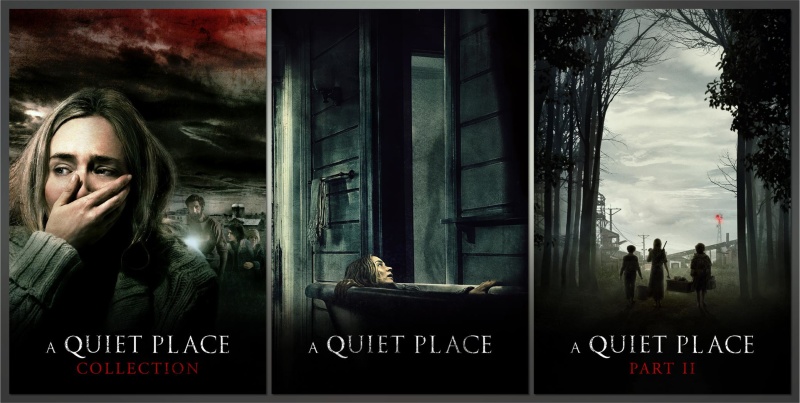 A Quiet Place Duology (2018-2020) • Movies