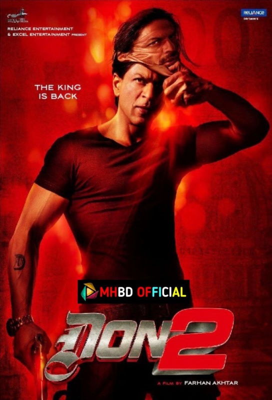 Don 2 (2011) Hindi BluRay 480p & 720p BSub Click to Download [mhbd.xyz]