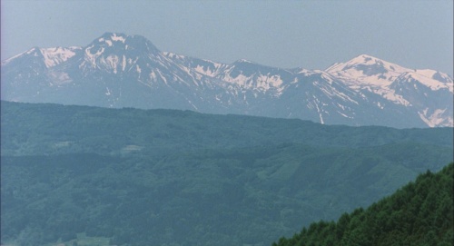 Movie cover image
