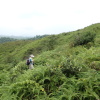 Hiking Tin Shui Wai 2023 July - 頁 2 LRUnAffH_t