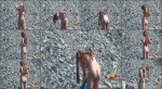 Nudist video 00672 NudeBeachDreams 