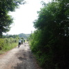 Hiking Tin Shui Wai 2023 July - 頁 2 N1cu0qpx_t
