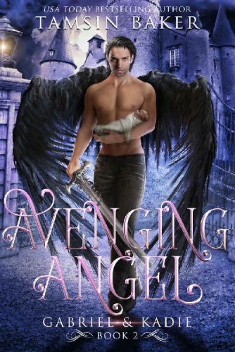 Avenging Angel (Gabriel and Kad   Tamsin Baker