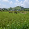 Tin Shui Wai Hiking 2023 - 頁 3 ANBvkRdq_t