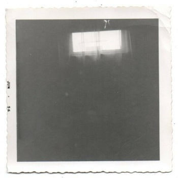 image host