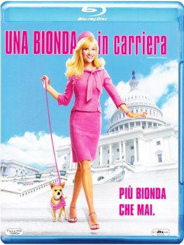 Una Bionda In Carriera (2003).avi BDRip AC3 640 kbps 5.1 iTA