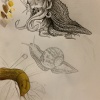 slug
