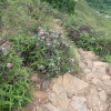 Tin Shui Wai Hiking 2023 - 頁 3 Rft9Xruq_t
