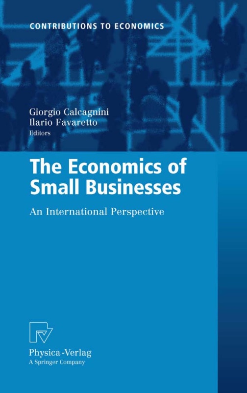 The Economics of Small Businesses An International Perspective Unk2HqHE_t