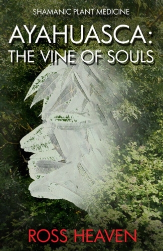 Shamanic Plant Medicine   Ayahuasca   The Vine of Souls