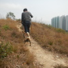 Hiking Tin Shui Wai - 頁 10 EgIlOQuU_t