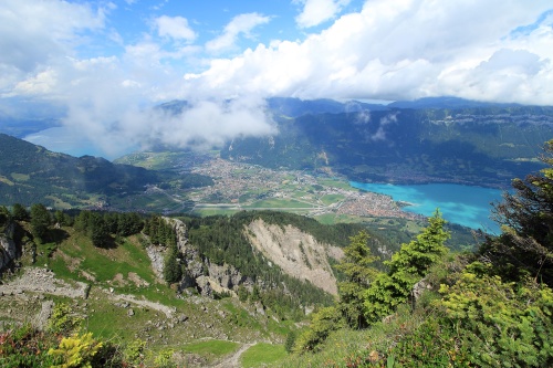 6 DE JULIO. RUTA A SCHYNIGE PLATTE. - De ruta en ruta por Suiza, 2023 (15)