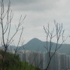 Hiking Tin Shui Wai - 頁 15 AyfewFUN_t