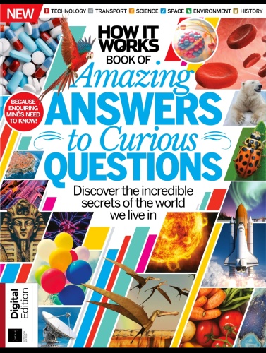 Book of Amazing Answers 15th (2020)