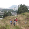 Hiking Tin Shui Wai 2023 July - 頁 3 WGAzWnbx_t