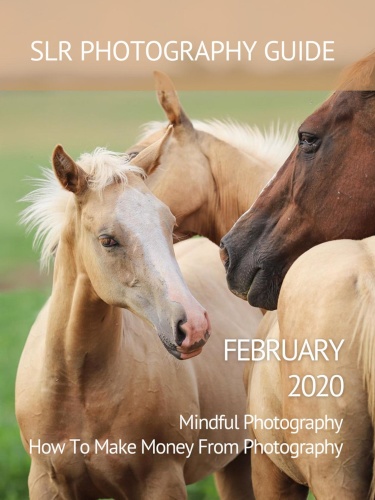 SLR Photography Guide - February (2020)