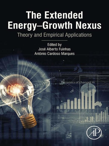 The Extended Energy   Growth Nexus   Theory and Empirical Applications
