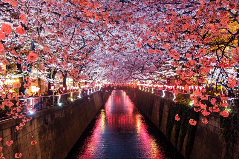 First Japan Travel Guide: Things I Wish I'D Known Before Going to Japan (2023)'s image