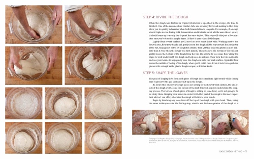 First Flour Water Salt Yeast: The Fundamentals of Artisan Bread and Pizza [A Cookbook]'s image