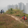 Hiking Tin Shui Wai - 頁 7 CBb8Ddi2_t