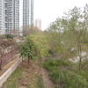 Hiking Tin Shui Wai 2024 - 頁 2 Cn7a15Jn_t