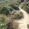 Tin Shui Wai Hiking 2023 SoTWer13_t