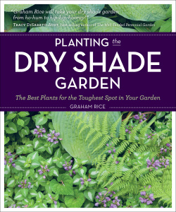 Planting the Dry Shade Garden   The Best Plants for the Toughest Spot in Your Ga