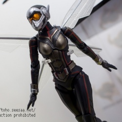 Ant-Man (Ant-Man & The Wasp) (S.H. Figuarts / Bandai) TaOhAl0r_t