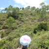 Hiking Tin Shui Wai 2023 July LVZPBdjs_t