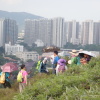 Hiking Tin Shui Wai 2023 July - 頁 2 NXViReTc_t
