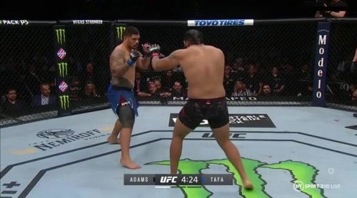 UFC 247 PPV Jones vs Reyes HDTV -PUNCH UFC 247 PPV Jones vs Reyes HDTV -PUNCH