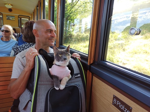 6 DE JULIO. RUTA A SCHYNIGE PLATTE. - De ruta en ruta por Suiza, 2023 (5)