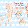 Peachie reference sheet