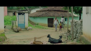 Phulmania (2020) 1080p WEB-DL x264 AAC-Team IcTv Exclusive Phulmania (2020) 1080p WEB-DL x264 AAC-Team IcTv Exclusive