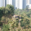 Hiking Tin Shui Wai 2023 July - 頁 2 5Miz8jGK_t