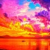 image host