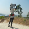 Hiking Tin Shui Wai - 頁 29 Ht0B7c9a_t