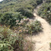 Tin Shui Wai Hiking 2023 L9mzgrK0_t