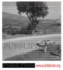 Targa Florio (Part 3) 1950 - 1959  - Page 7 KxGvtMuA_t