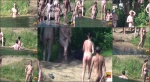 Nudist video 00718 NudeBeachDreams 