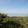 Hiking Tin Shui Wai 2023 July - 頁 3 LEaCLKDe_t